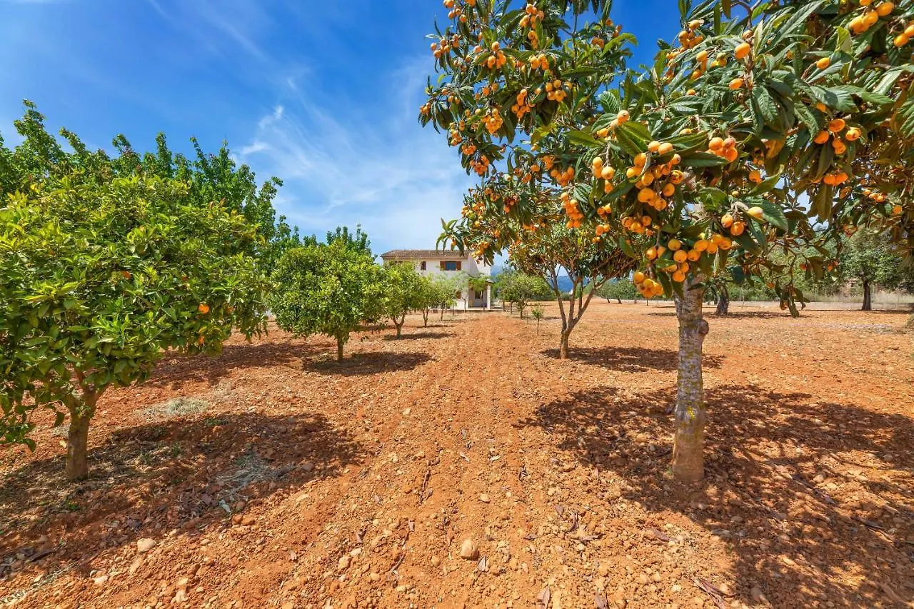 Finca Can Soler בית נופש